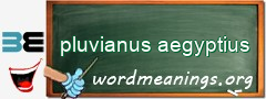 WordMeaning blackboard for pluvianus aegyptius